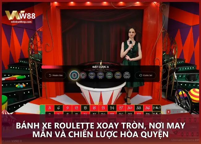 Bánh xe Roulette xoay tròn, nơi may mắn và chiến lược hòa quyện