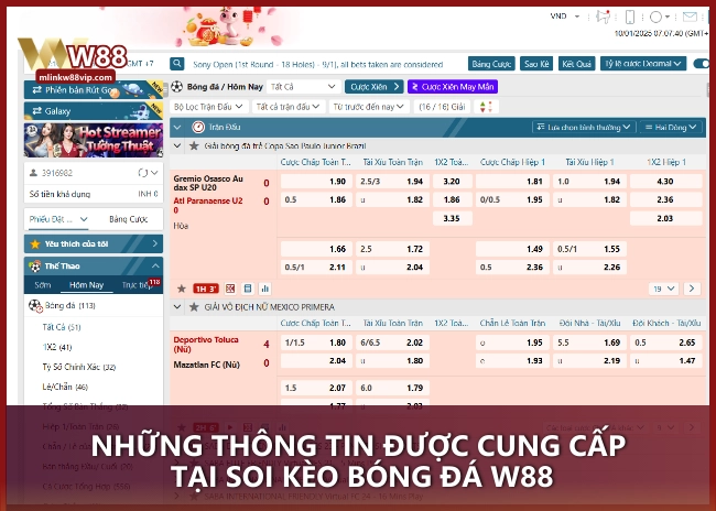 Những thông tin được cung cấp tại soi kèo bóng đá W88