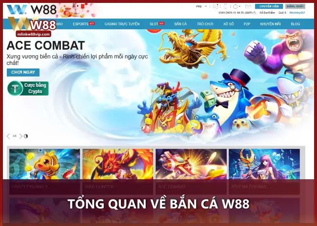 Tổng quan về bắn cá W88