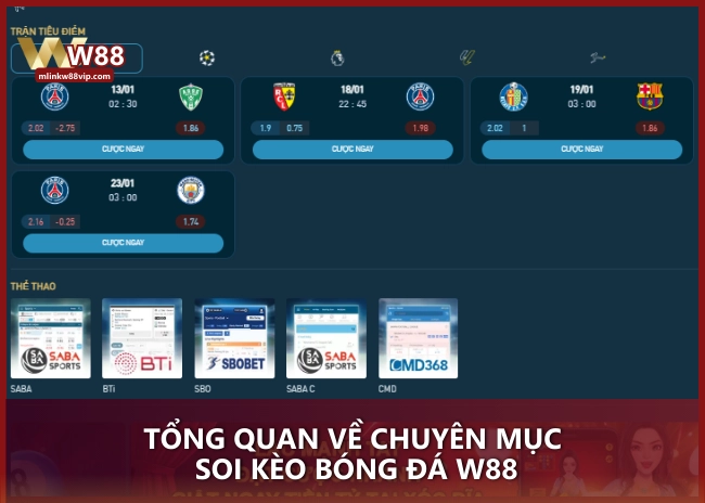 Tổng quan về chuyên mục soi kèo bóng đá W88